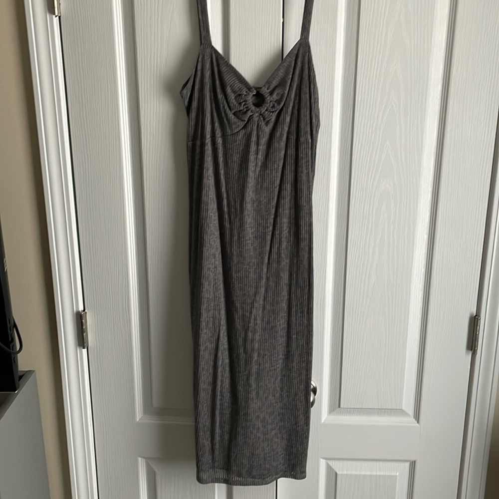 Express leopard print dress